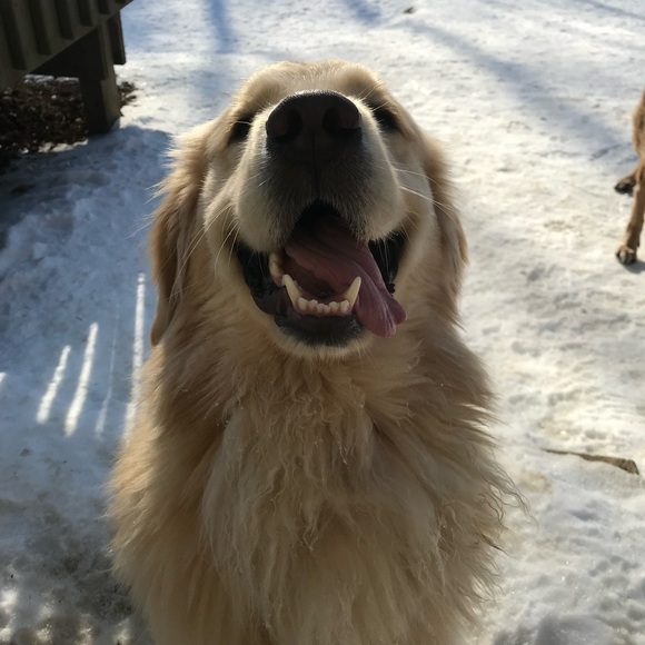 ▪️ABOUT ME▪️ - Picture 12 of 16